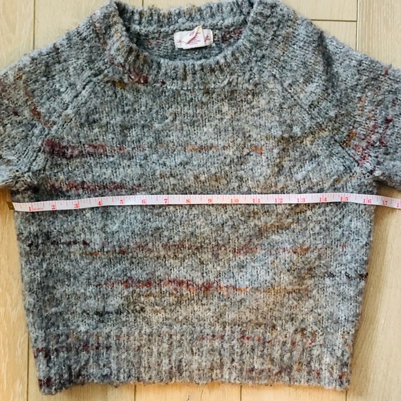 Shrinking Violet Cropped Grey & Warm Colored Sweater - Picture 7 of 8